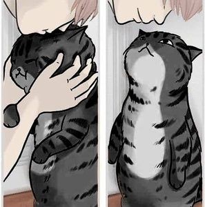 Meet your Posher, Malandra